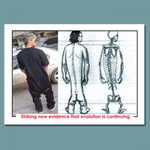 Evolution Continuing